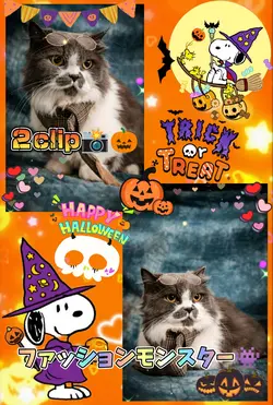 ハロウィン/ファッションモンスター