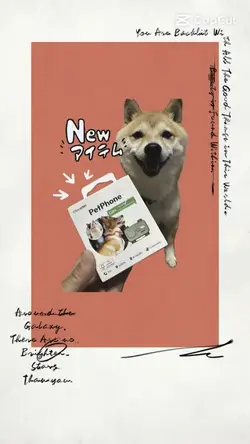 商品紹介