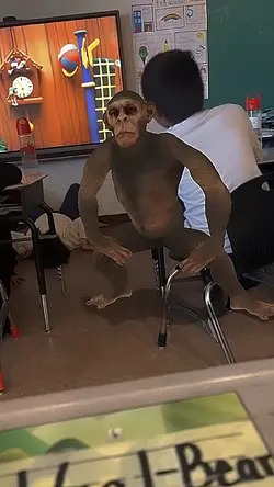 .