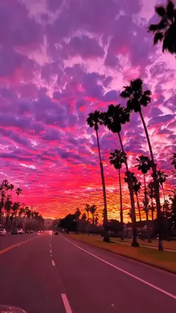 6 video road trip 