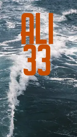ALI 33