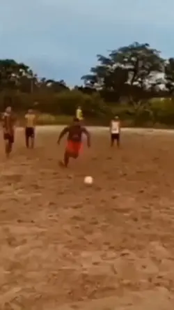Novo modelo 