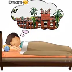 DREAM 