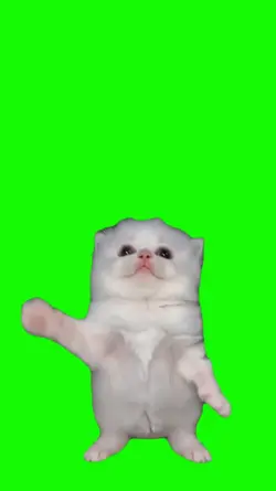 Gatito Bailando