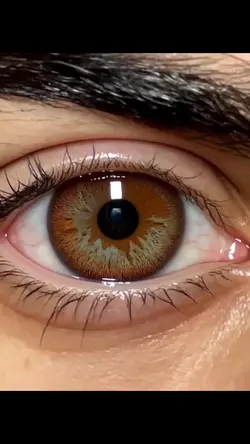 Iris 👁️
