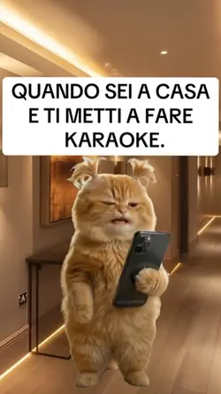 Gatto