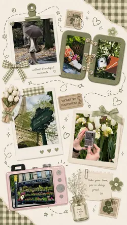 aesthetic frame