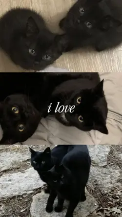 I LOVE