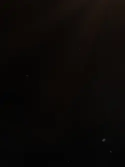 Slowmo