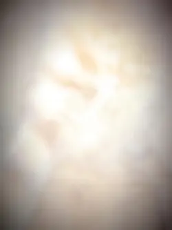 velocity 