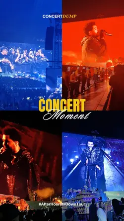 Concert Moment