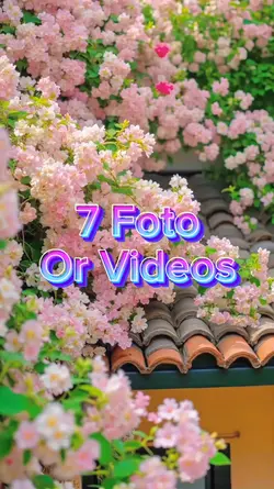 7 Foto Slide