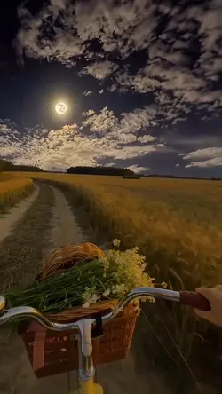 Full Moon