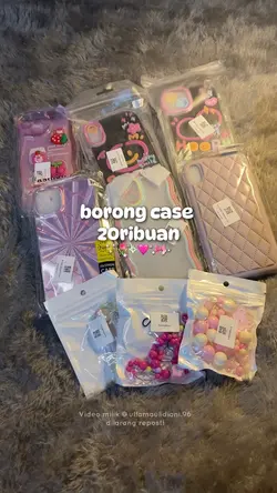 Case
