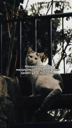 motivation