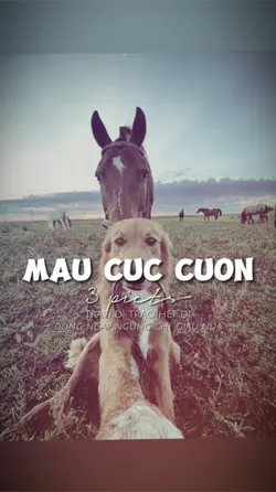 3 ẢNH GIẬT NHẸ 