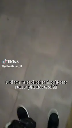narcisă sau busuioc