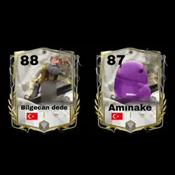 Amınake vs bilgecan