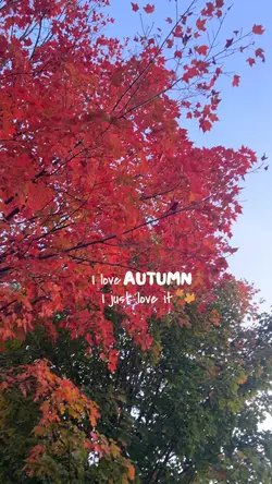 I love Autumn 