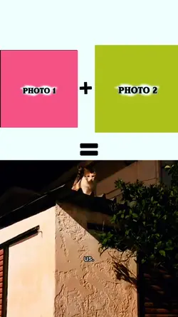 NEW EDIT MASTER