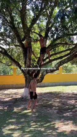 Contato de emergênci
