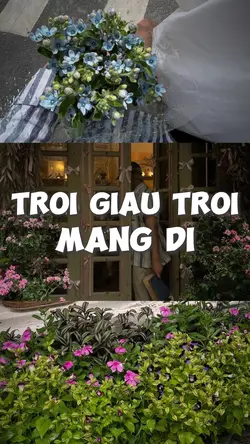 Trời Giấu Trời Mang 
