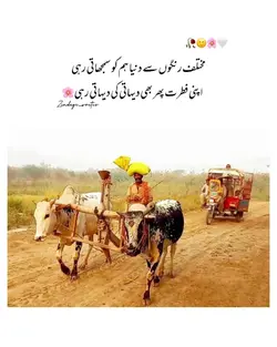 village lover 