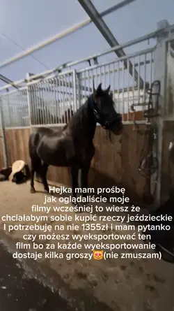 wyeksportujecie???