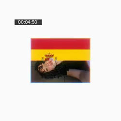 FLAG TREND