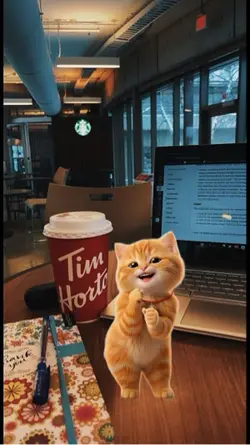 Trend kucing