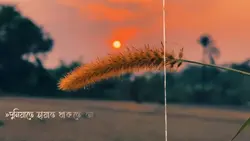 দুনিয়াতে হায়াত...!! 