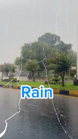 Rain