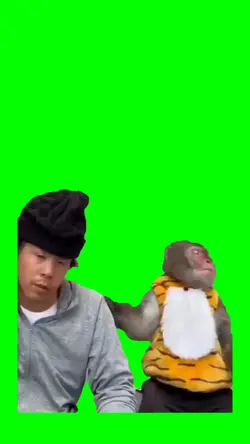 Funny monkey meme