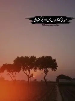 Meesam Khokhar 