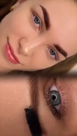 Brows | Lash