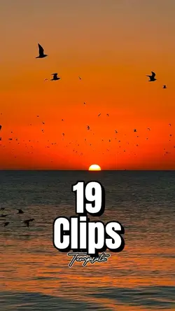 Use 19 Clips 