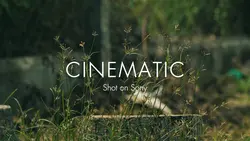 Cinematic Life