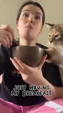Cat Breakfast 