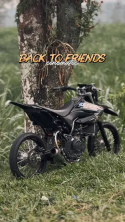 BACK TO FIRENDS