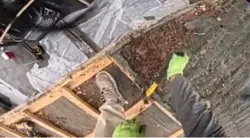 My poor hammer