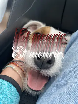 Mon bébé 💖💖