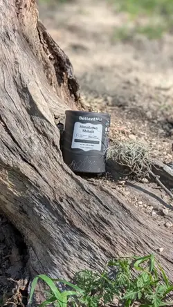 Shilajit Reain