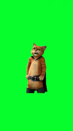 i dont know 