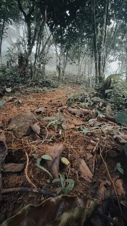 trail running