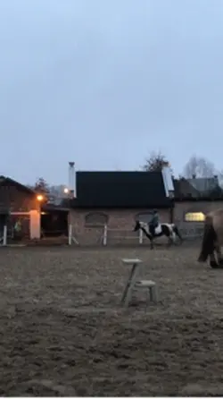 Zbyt dużo 