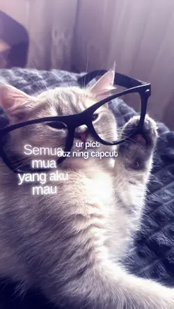 VERSI NO MIROR