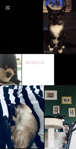 Brakuje was 