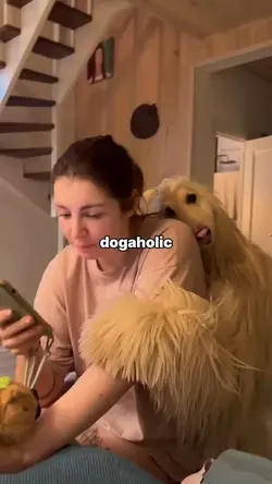 Dog-aholic