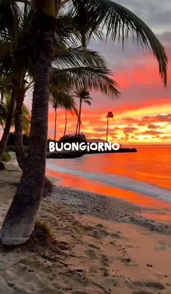 Buongiorno 