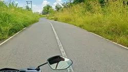 teh hijau